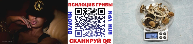 Купить закладки  Анива  Галлюциногенные грибы прущие грибы 